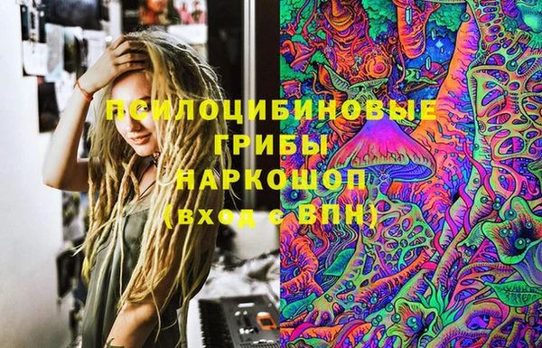бошки Дмитров
