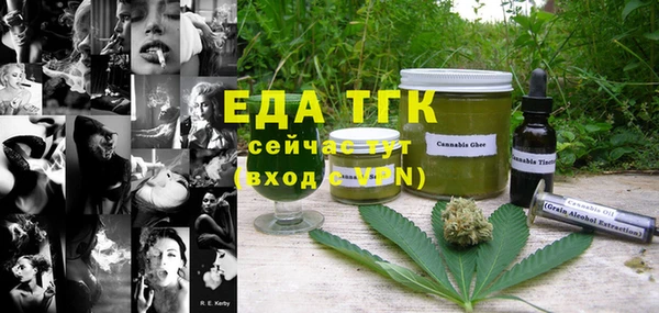 индика Дмитриев