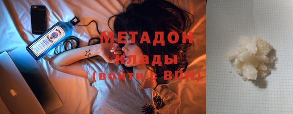 индика Дмитриев