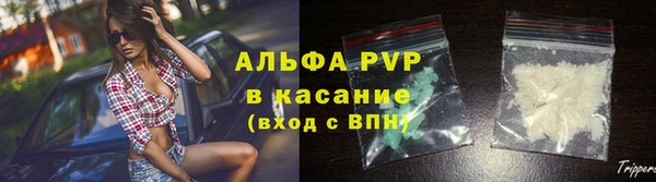 бошки Дмитров