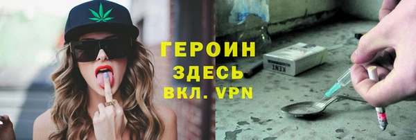 индика Дмитриев