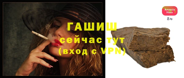 индика Дмитриев