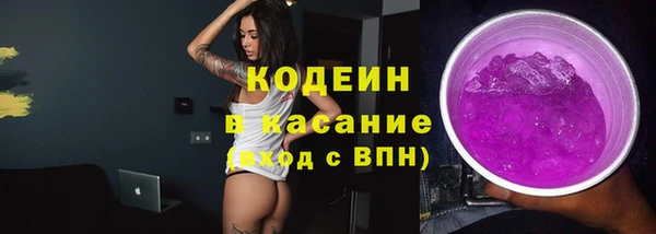 индика Дмитриев