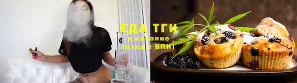 индика Дмитриев