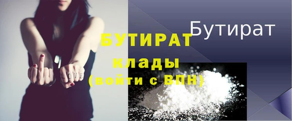 индика Дмитриев