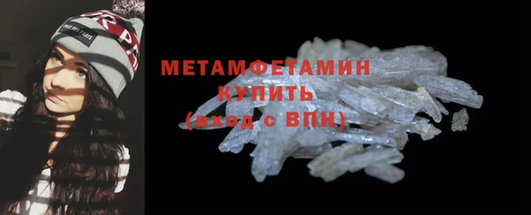 индика Дмитриев