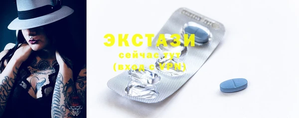 индика Дмитриев
