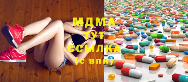 индика Дмитриев