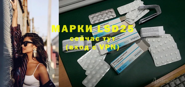 индика Дмитриев