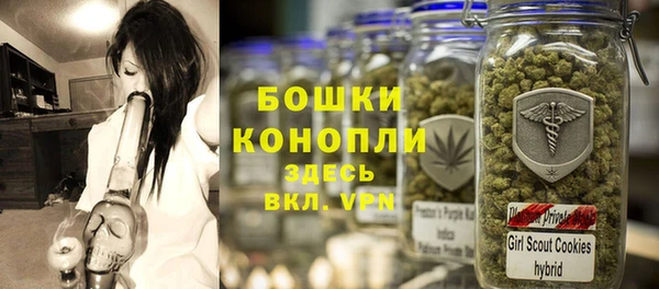 бошки Дмитров