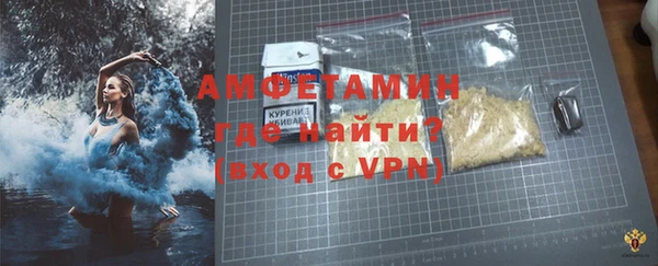 индика Дмитриев
