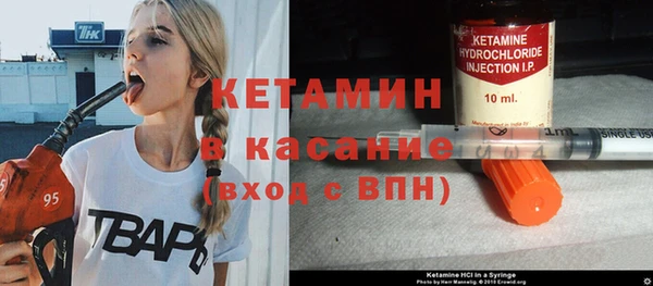 индика Дмитриев