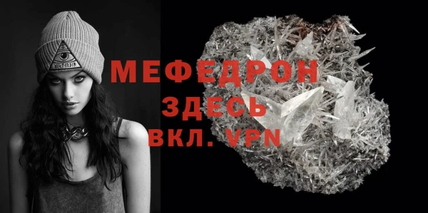 индика Дмитриев
