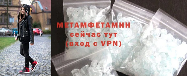 индика Дмитриев