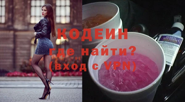 индика Дмитриев