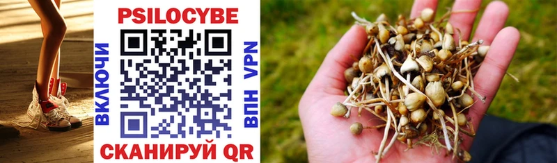 Галлюциногенные грибы прущие грибы Рудня