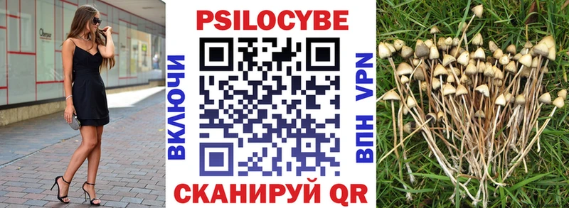Псилоцибиновые грибы прущие грибы  Купить где  Рудня 